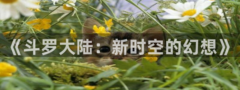虫虫漫画在线acg：《斗罗大陆：新时空的幻想》