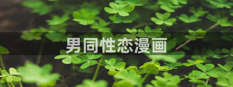 虫虫漫画未删减：男同性恋漫画