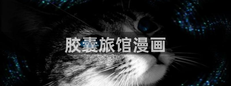 虫虫漫画登录：胶囊旅馆漫画