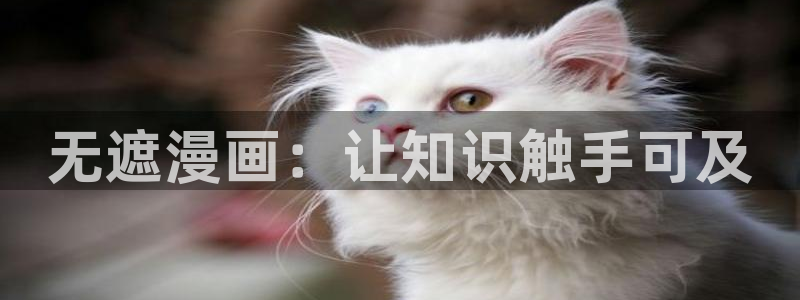 虫虫漫画破译版