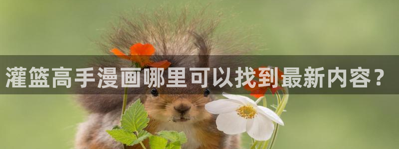 虫虫漫画怎么下载