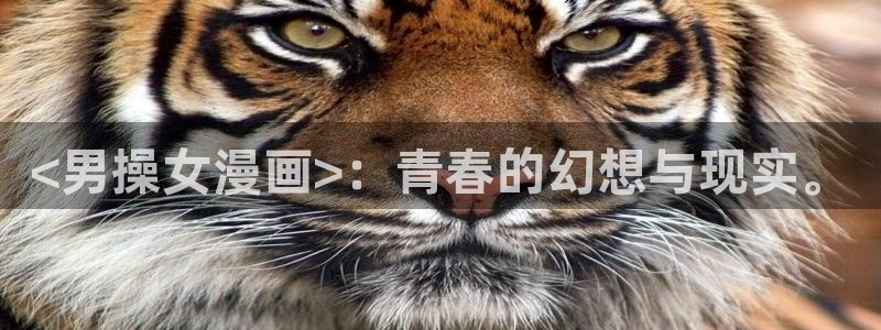 虫虫漫画热门漫画有哪些