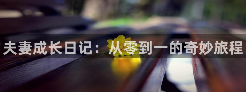 虫虫的动画片