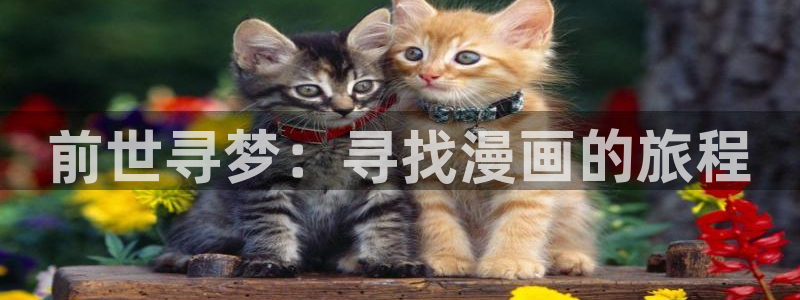 虫虫漫画99+：前世寻梦：寻找漫画的旅程