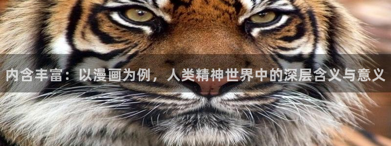 虫虫漫画在线观看网站：内含丰富：以漫画为例，人类精神世界中的深层含义与意义